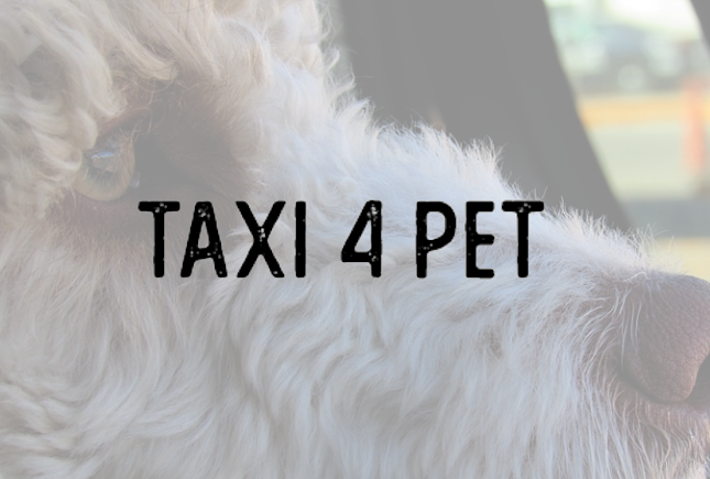 Reviews of Taxi 4 Pet in Lincoln - Taxi service