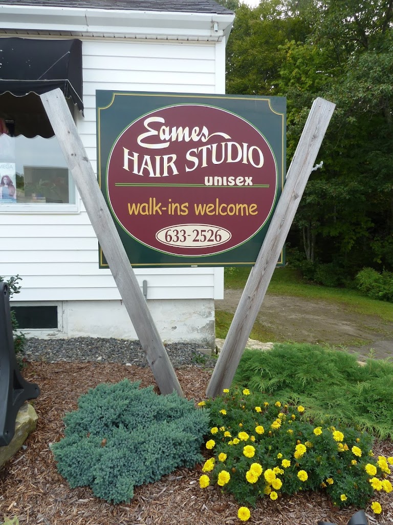 Eames Hair Studio 04538