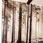 Photo n°12 de l'avis de gianluca.e fait le 19/09/2021 à 15:19 sur le  Ristorante Hotel Dino à Olmo