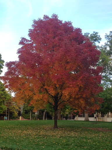 Park «Washington Park», reviews and photos, 701 S Franklin St, Denver, CO 80209, USA