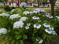 ニューライフマンション藤の森