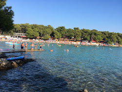 Photo de Drazice beach - endroit populaire parmi les connaisseurs de la détente