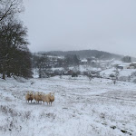 Photo n° 3 de l'avis de Hélène-Marie.a fait le 09/12/2021 à 22:13 pour La Ferme sous le Porche à Olizy-Primat