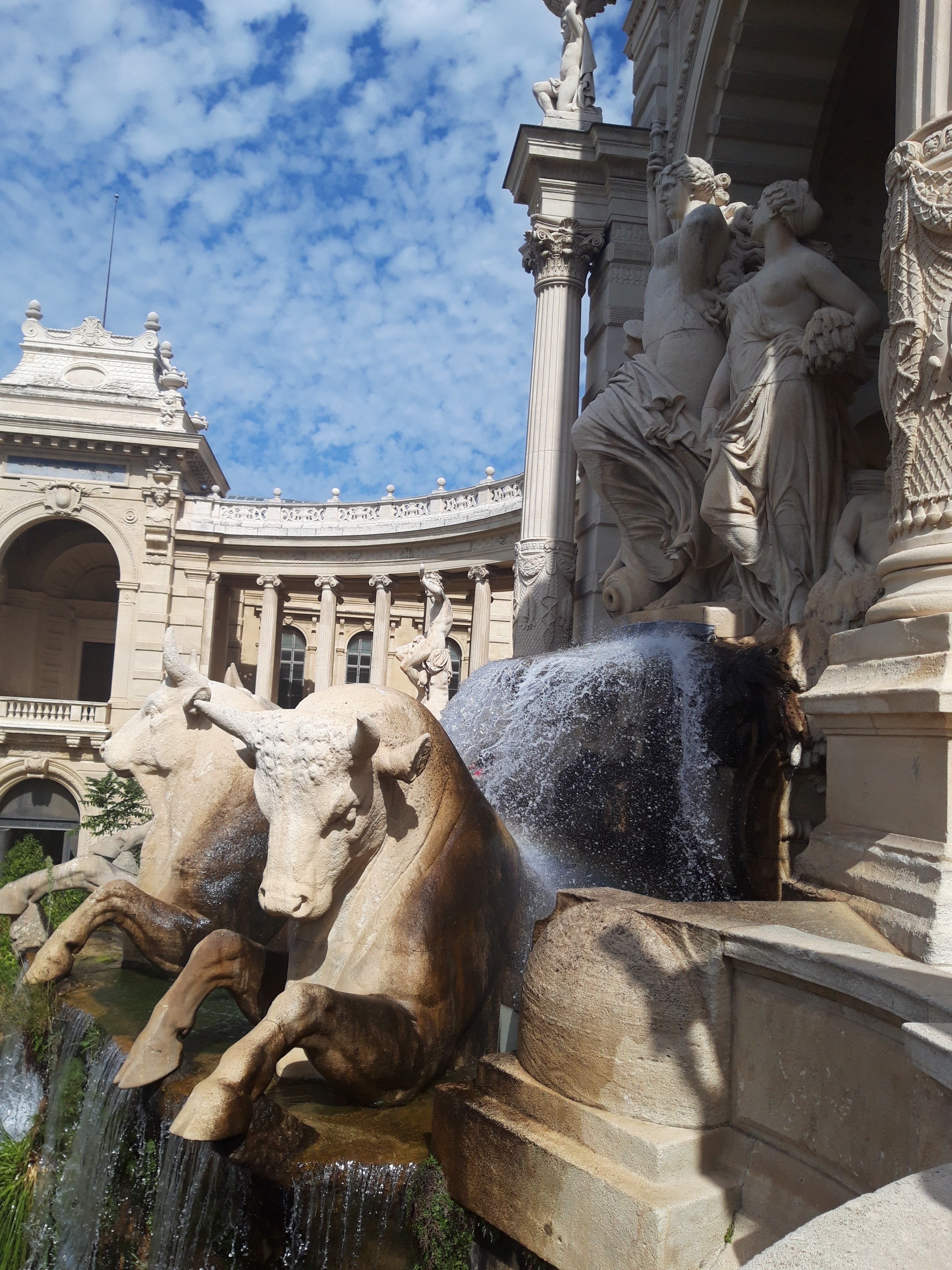 Photo n° 2 de l'avis de Tweety.' fait le 17/09/2023 à 13:32