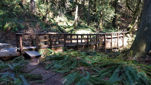 Performing Arts Theater «Kitsap Forest Theater», reviews and photos, 3000 Seabeck Hwy NW, Bremerton, WA 98312, USA