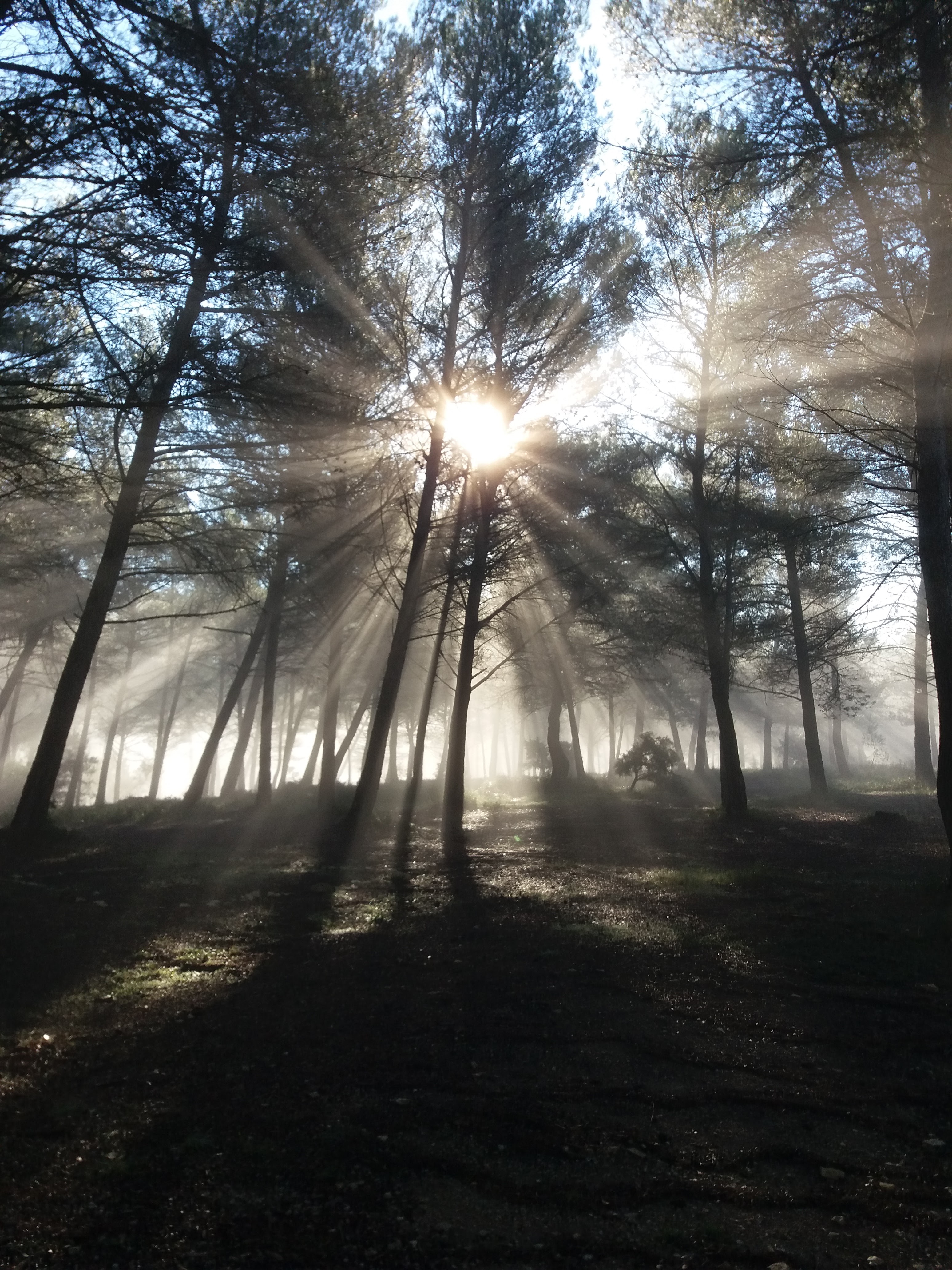 Photo n° 1 de l'avis de Nelly.h fait le 26/07/2019 à 07:25