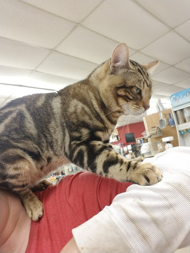 Pet Store «Critter Mart & More», reviews and photos, 3 10th St NW, Watertown, SD 57201, USA