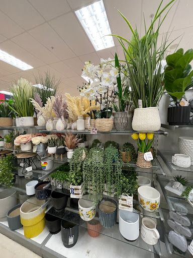 Department Store «Marshalls», reviews and photos, 3146 Tampa Rd, Oldsmar, FL 34677, USA