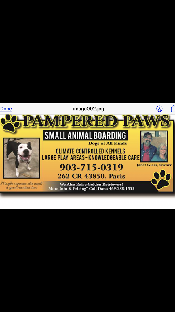 Pampered Paws Small Animal Boarding