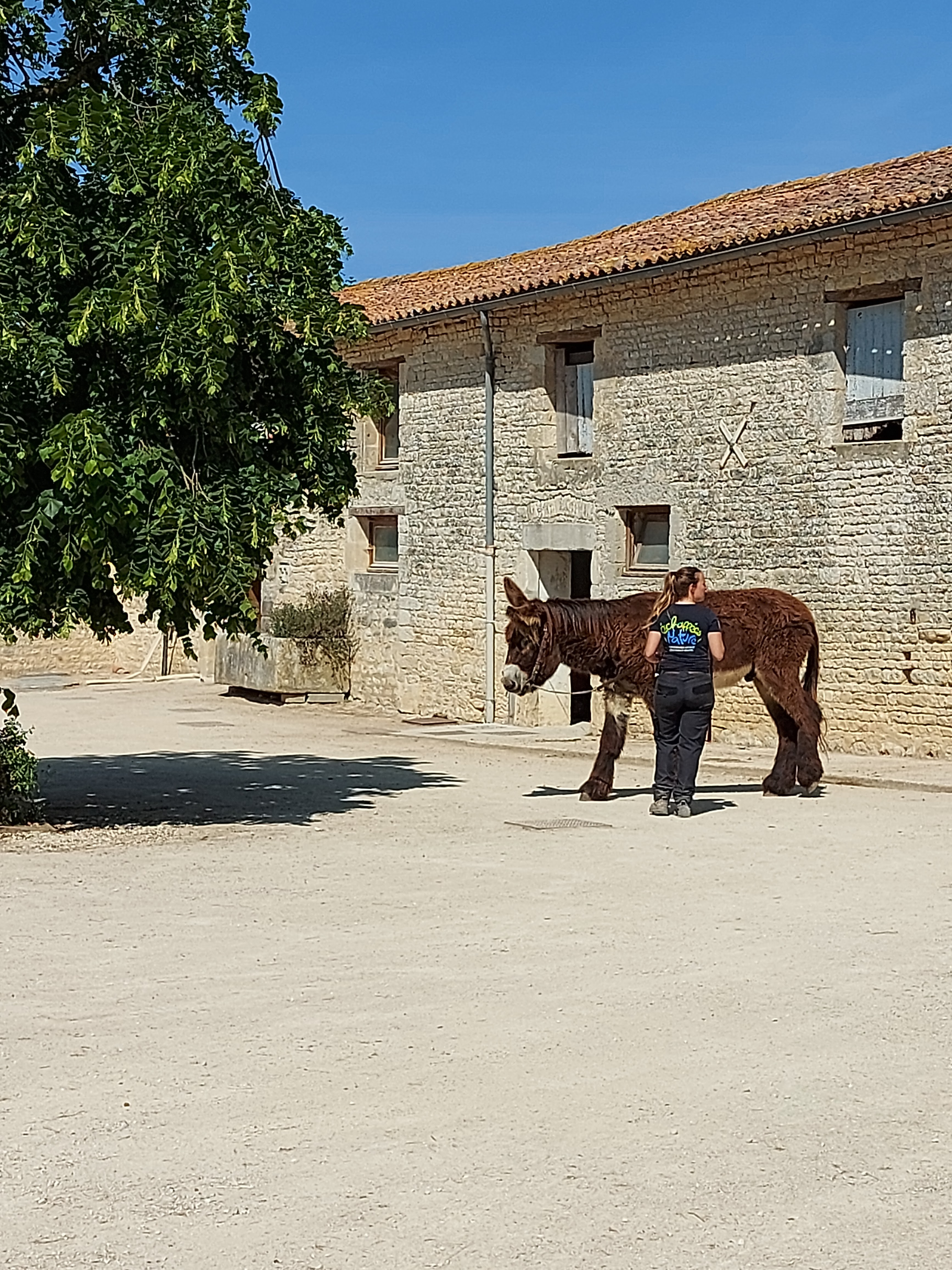Photo n° 5 de l'avis de Leeloo.l fait le 13/05/2022 à 18:30