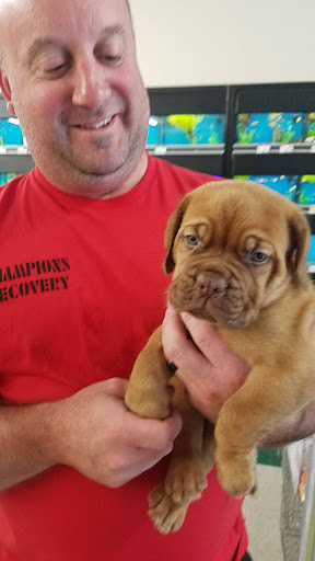 Pet Supply Store «Pet Supplies Plus», reviews and photos, 1510 Scranton Carbondale Hwy, Scranton, PA 18508, USA