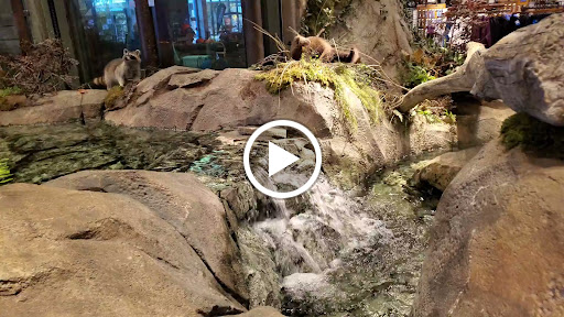 Sporting Goods Store «Bass Pro Shops», reviews and photos, 1 Bass Pro Dr, Bridgeport, CT 06608, USA