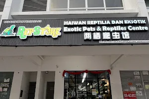 RepStore Bukit Mertajam - Exotic Pets & Reptiles Centre image