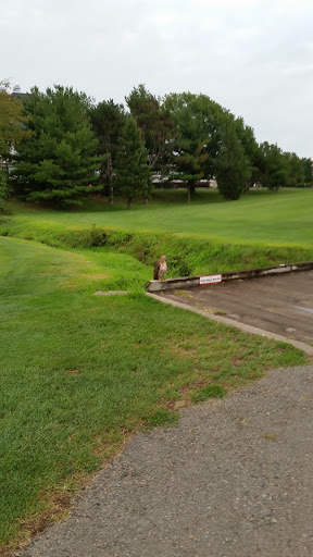 Golf Course «Rutgers Golf Course», reviews and photos, 777 Hoes Ln W, Piscataway Township, NJ 08854, USA
