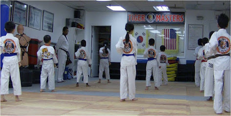 Tiger Masters Tae Kwon Do