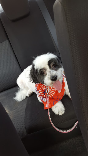 Pet Supply Store «PetSmart», reviews and photos, 1720 N Pointe Dr, Durham, NC 27705, USA