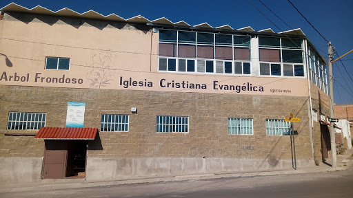 Iglesia Cristiana Árbol Frondoso