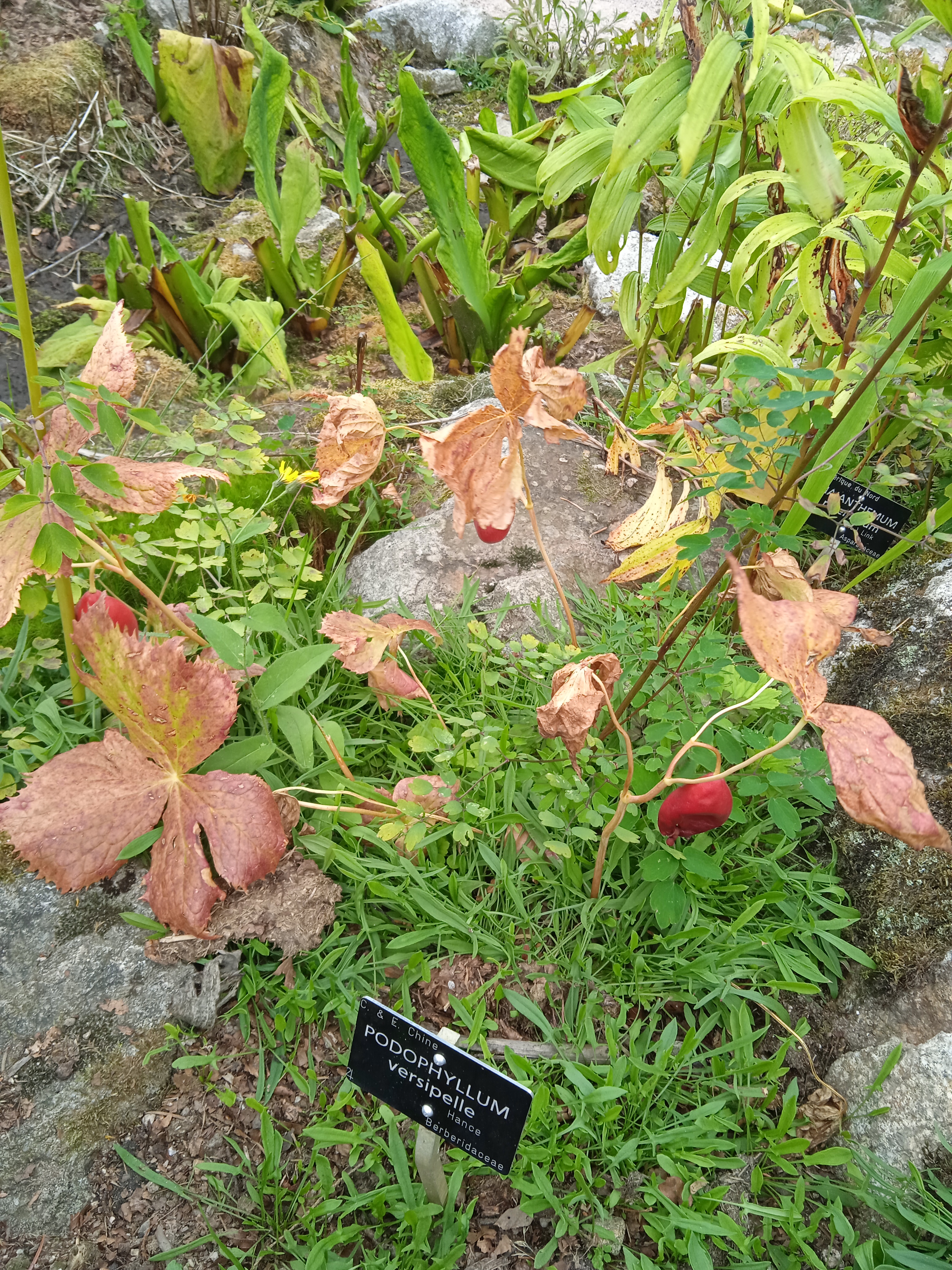 Photo n° 4 de l'avis de Françoise.o fait le 31/08/2022 à 11:04