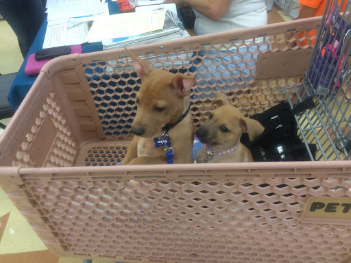 Store «HealthePets Market», reviews and photos, 155 Toney Penna Dr, Jupiter, FL 33458, USA