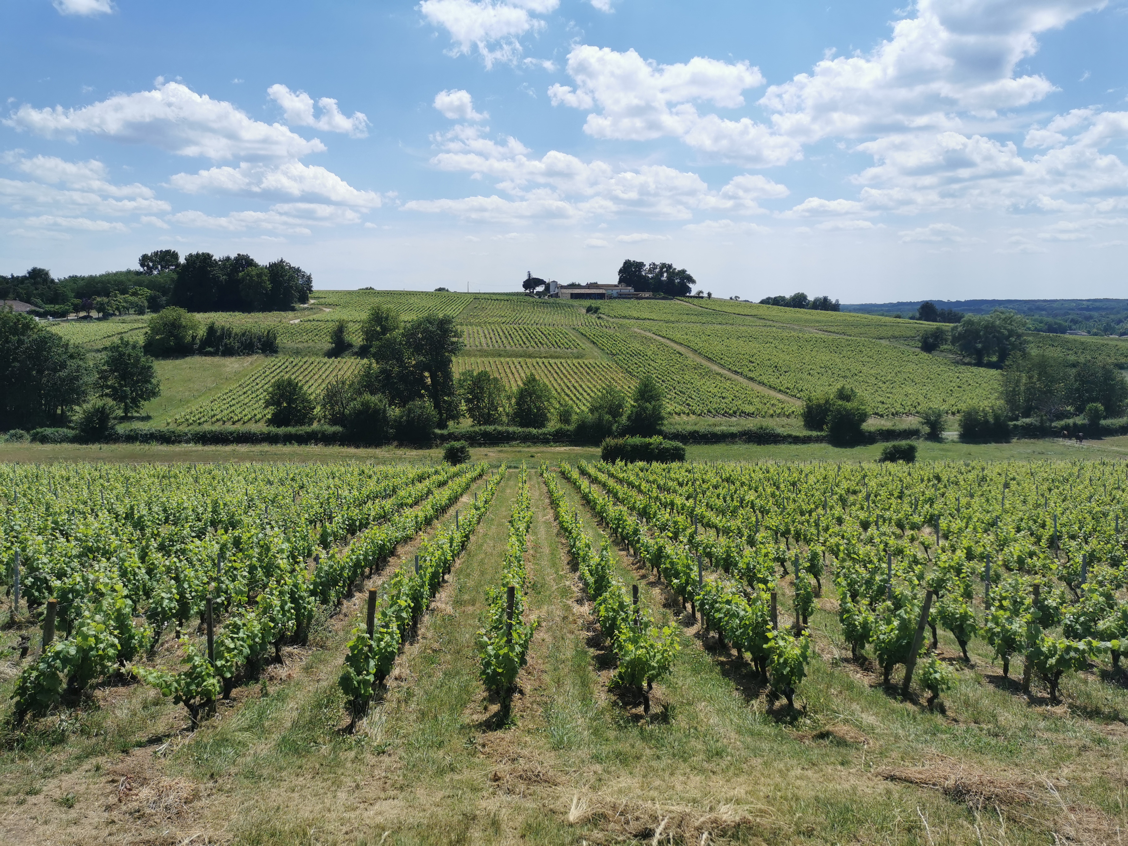 Photo n° 4 de l'avis de Timothé.i fait le 31/05/2020 à 17:46