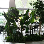 Photo n°4 de l'avis de chiara.e fait le 03/09/2022 à 14:30 sur le  Osteria del Mare à Corcagnano