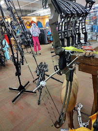 Canady's Sport Center - Photo 5 - Car repair in Wilmington, NC, Wilmington