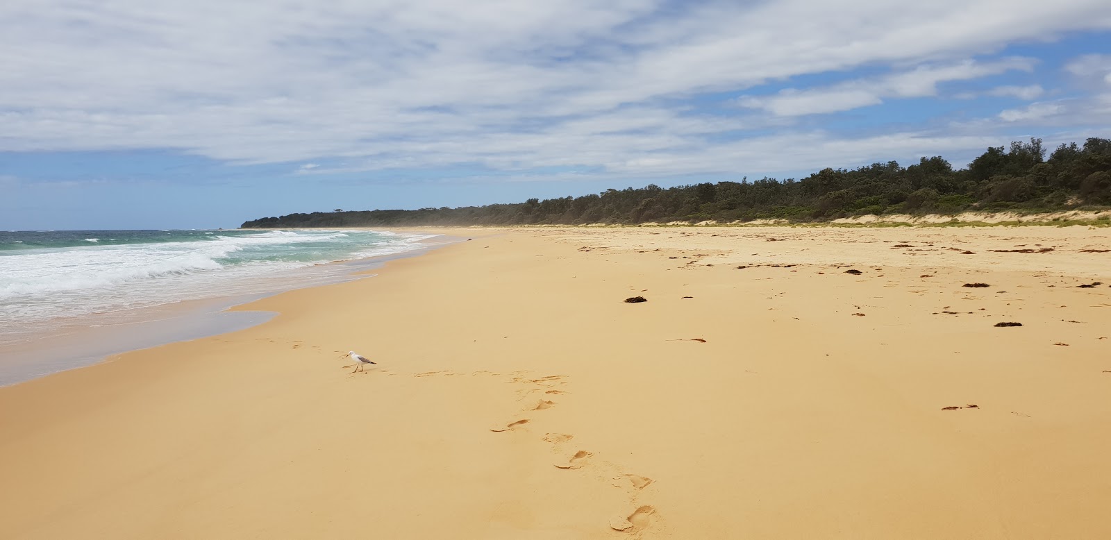 Photo de South Head Beach situé dans une zone naturelle