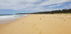 Photo de South Head Beach situé dans une zone naturelle