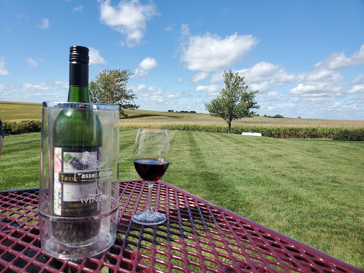 Winery «Tassel Ridge Winery», reviews and photos, 1681 220th St, Leighton, IA 50143, USA