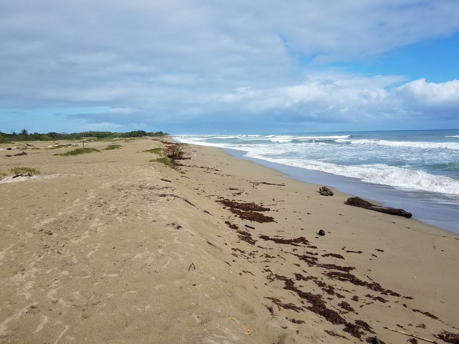Playa Boca de Yasica'in fotoğrafı düz ve uzun ile birlikte