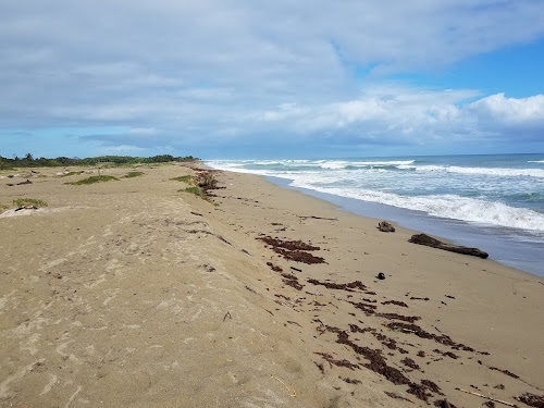 Playa Boca de Yasica photo #2