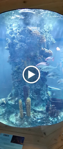 Aquarium «The River Center», reviews and photos, 805 US-1, Jupiter, FL 33477, USA