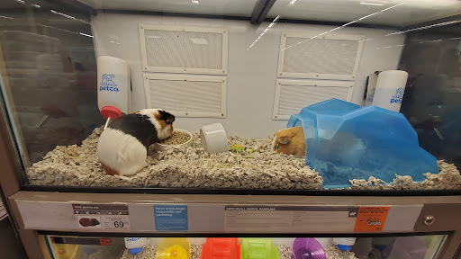 Pet Supply Store «Petco Animal Supplies», reviews and photos, 3264 Buford Dr NE #110, Buford, GA 30519, USA