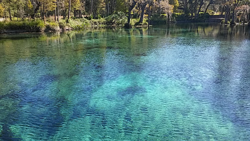 Nature Preserve «Crystal Springs Preserve», reviews and photos, 1609 Crystal Springs Rd, Crystal Springs, FL 33524, USA