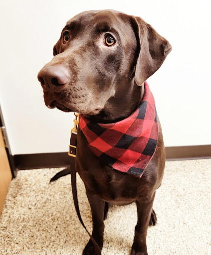 Clearwater Animal Hospital image