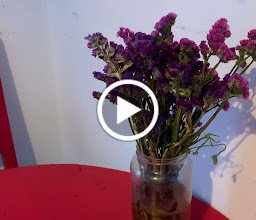 Tok Tok Wok Restaurante photo