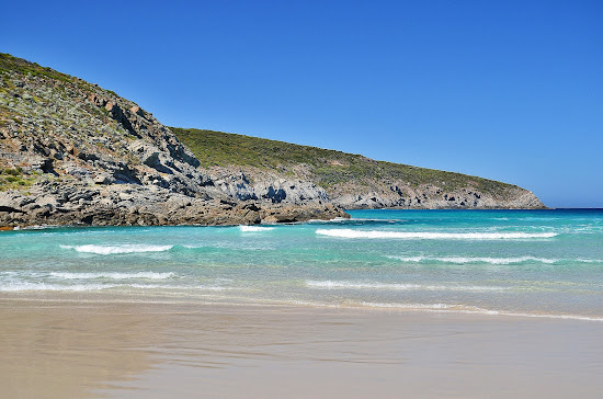 Foster Beach