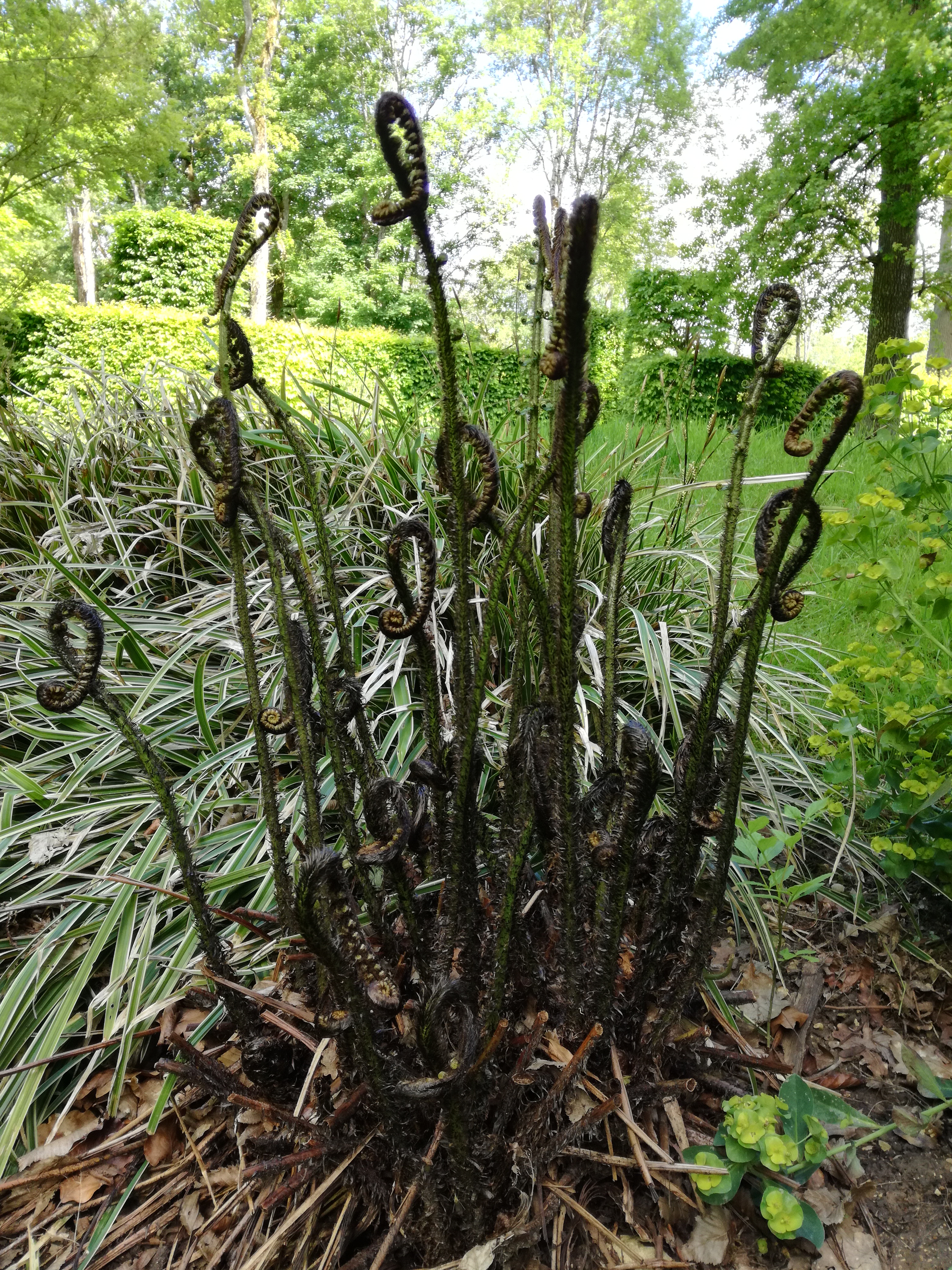 Photo n° 6 de l'avis de Valérie.A fait le 28/05/2021 à 11:04