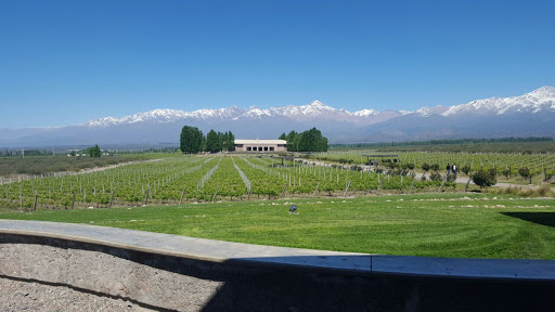 Taste Of Mendoza - Custom/Private Wine Tours in Mendoza, Argentina