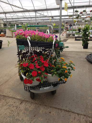 Florist «Pinters Flowerland», reviews and photos, 6830 Rawsonville Rd, Belleville, MI 48111, USA