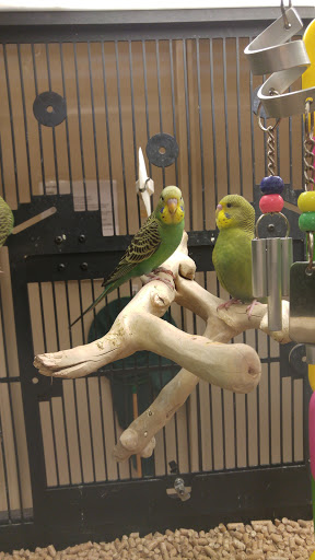 Pet Supply Store «PetSmart», reviews and photos, 13241 Gateway Center Dr, Gainesville, VA 20155, USA