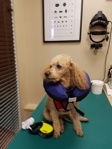 BluePearl Pet Hospital