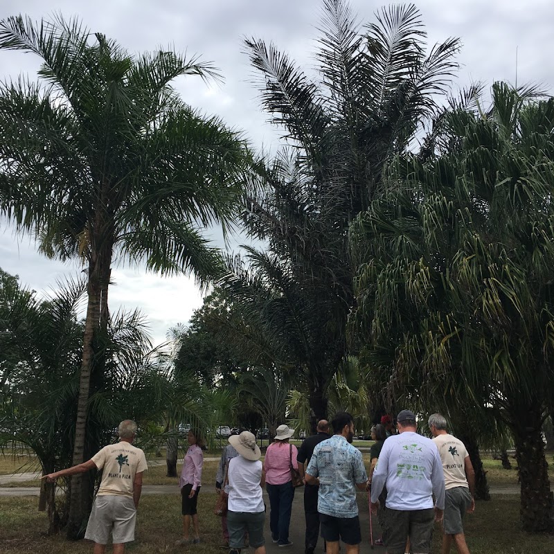 Palmetum at Miami Dade North