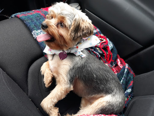 Pet Supply Store «Petco Animal Supplies», reviews and photos, 18578 Coastal Hwy #12, Rehoboth Beach, DE 19971, USA