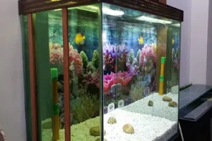 DHC Aquariums image