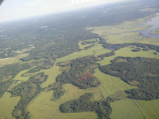 Nature Preserve «Green Swamp Wilderness Preserve», reviews and photos, 28057 FL-471, Webster, FL 33597, USA