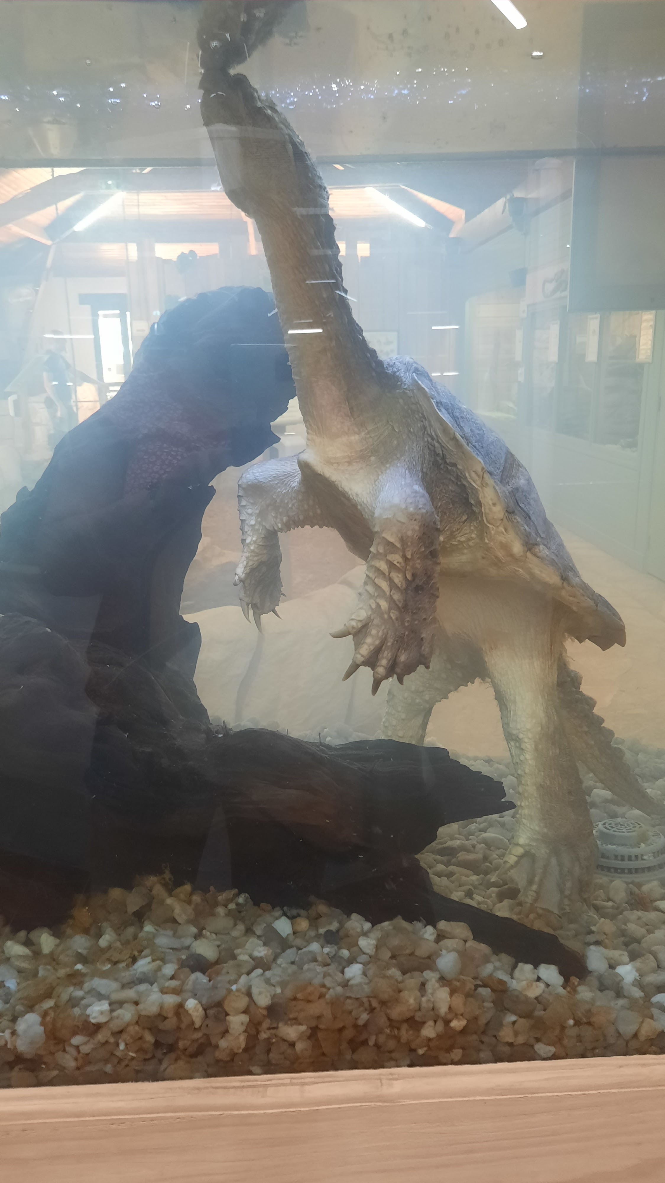 Photo n° 4 de l'avis de Pauline.l fait le 04/08/2023 à 10:04