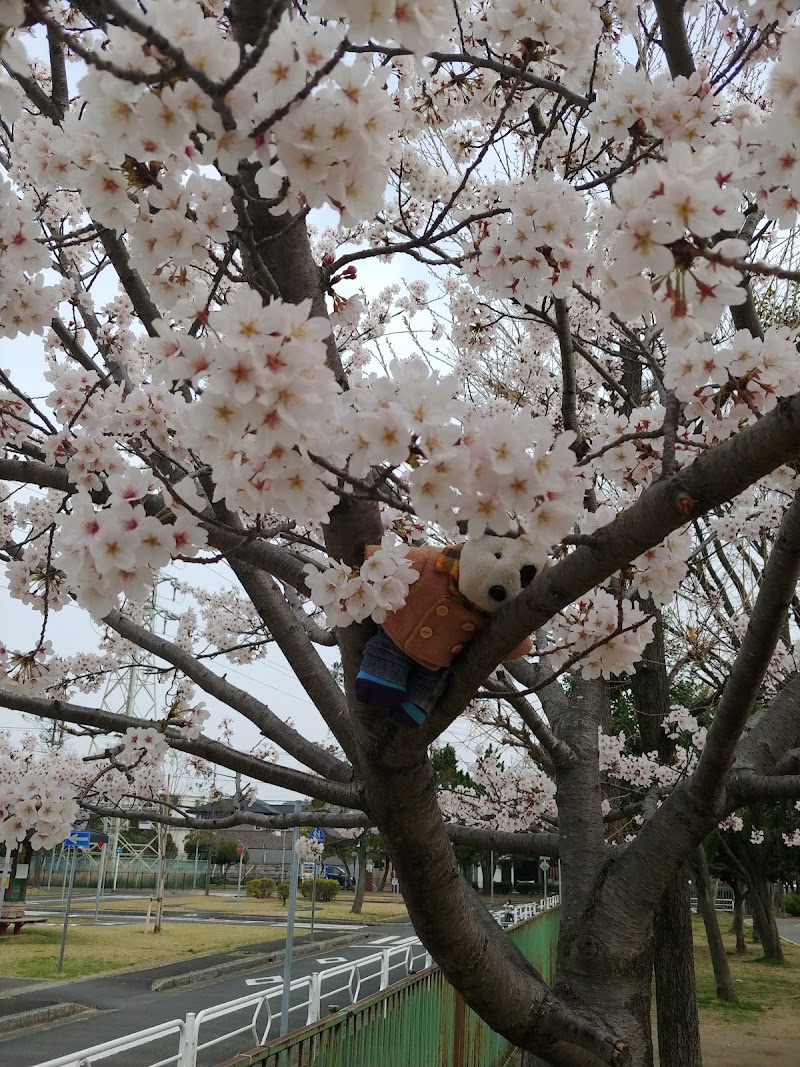 南沖児童交通公園