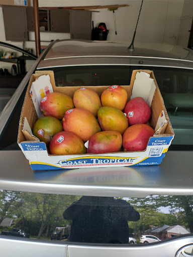 Grocery Store «Jewel-Osco», reviews and photos, 125 E Stearns Rd, Bartlett, IL 60103, USA