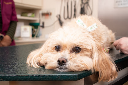 Ford Road Animal Clinic - Now Merged with Caputo Animal Hospital